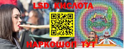 jwh Новозыбков