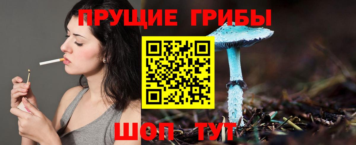 Тавда  Галлюциногенные грибы Cubensis  Псилоцибиновые грибы ЛСД  Вход с VPN 